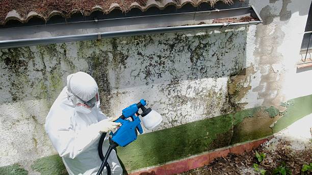 Trusted Mold Remediation service in Newtown Square, PA - Cheap Mold Removal